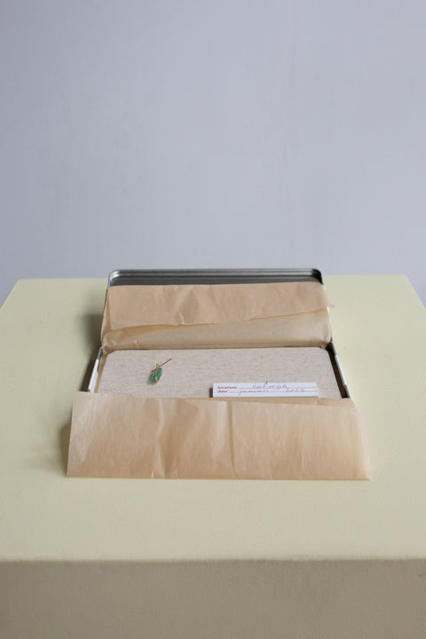 Terra (in)cognita - from pebble to pendant - kit